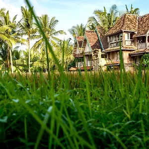  Farm stay The Rice Joglo Eco-stay